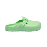 اخضر فاتح اش