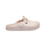 بيج ساند دولار