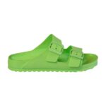 اخضر فاتح اش