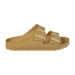 بيج ساند دولار